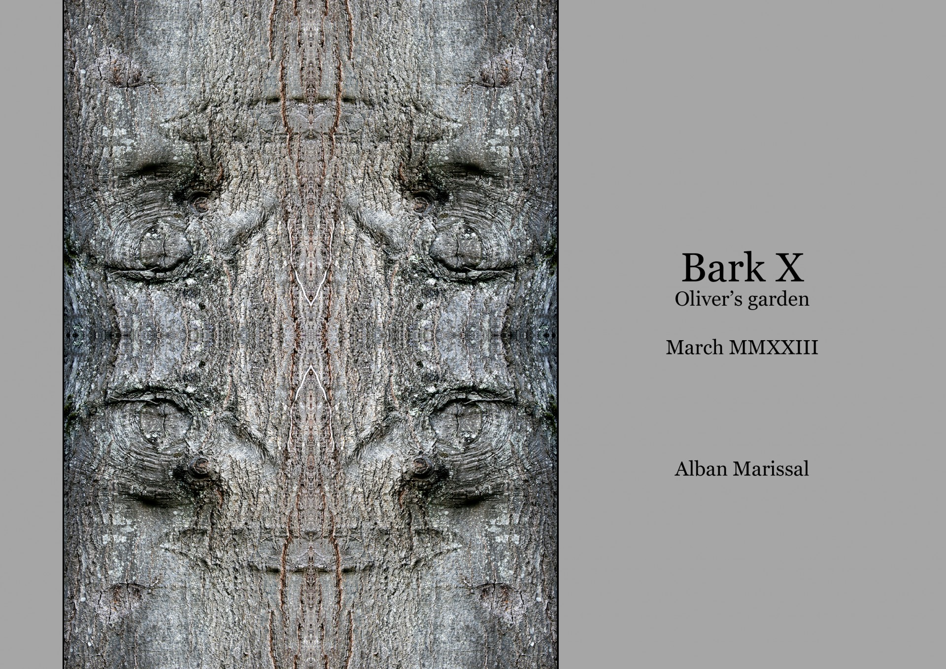 Bark 10 