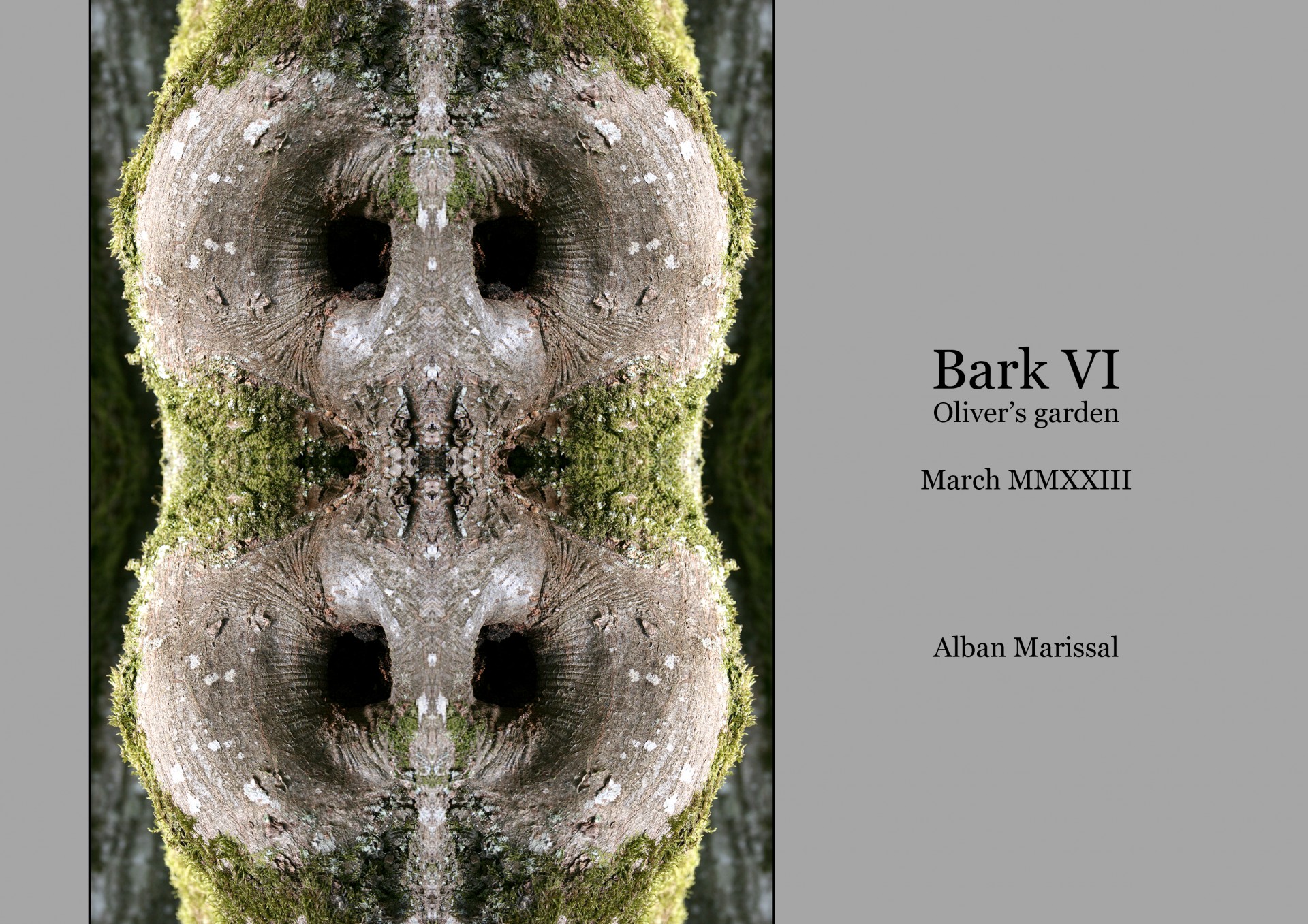Bark 6 