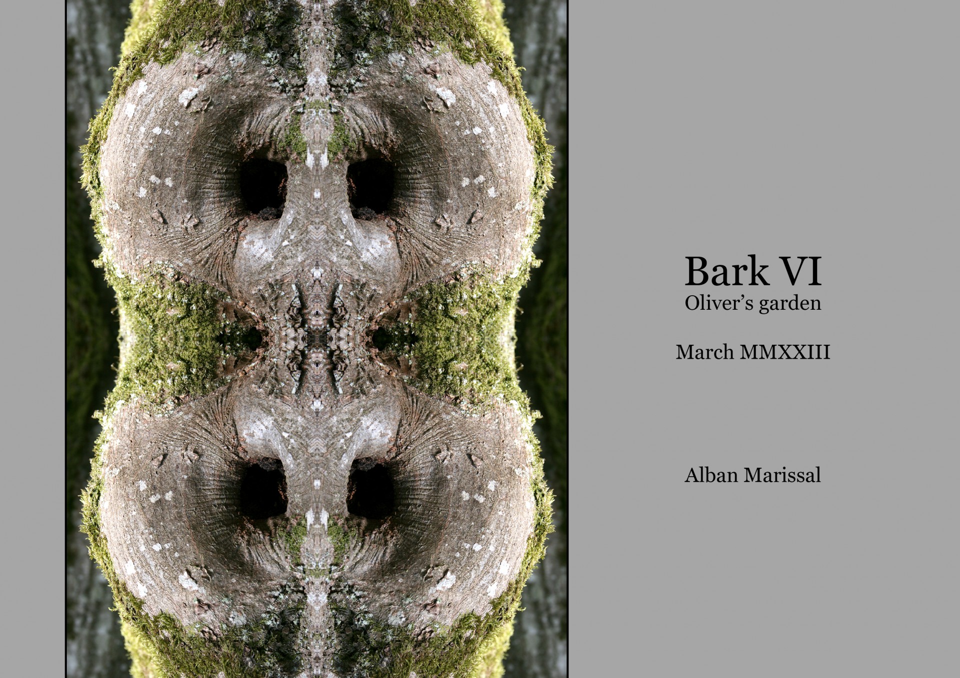 Bark 6 