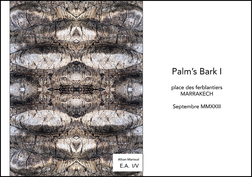 Palm 1 place ferblantiers