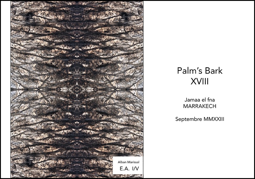 Palm 18 Jamaa el fna