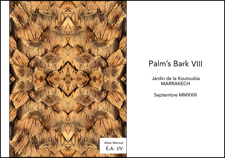 Palm 8 