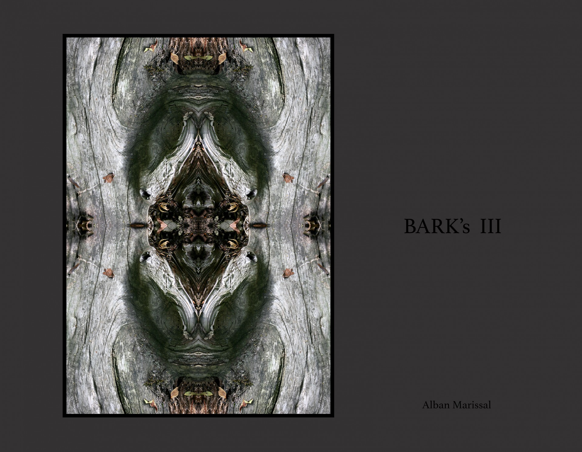 barks III