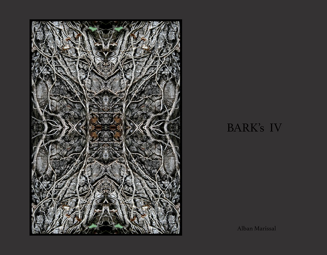 barks IV