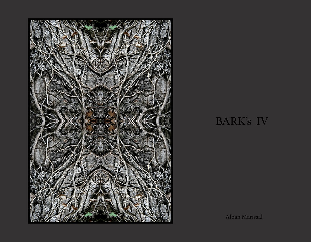 barks IV