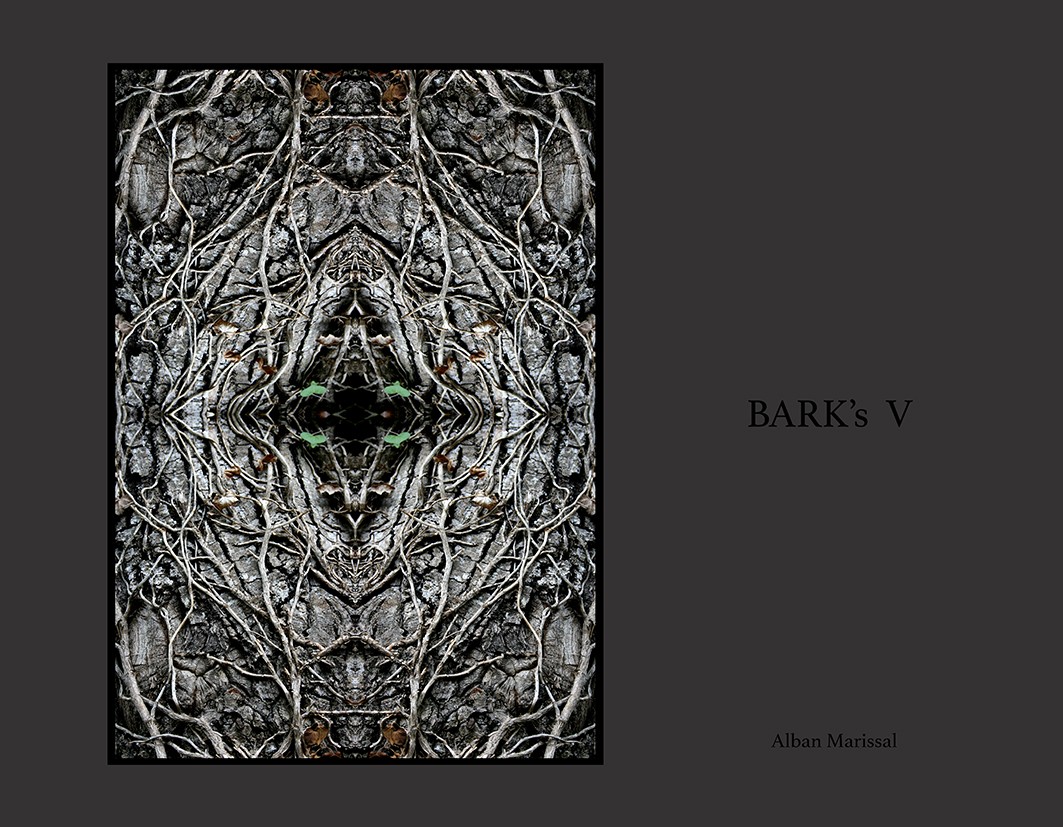 barks V
