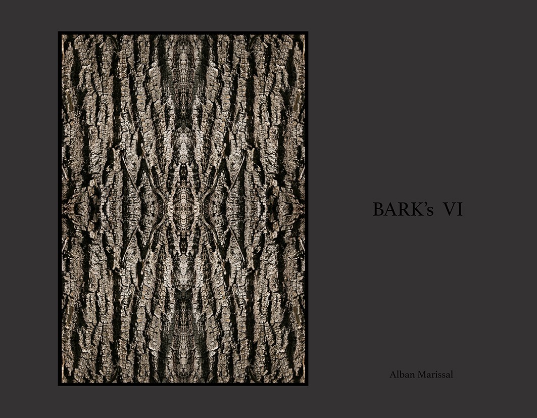 barks VI