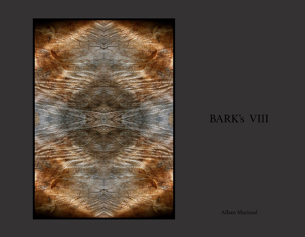 barks VIII