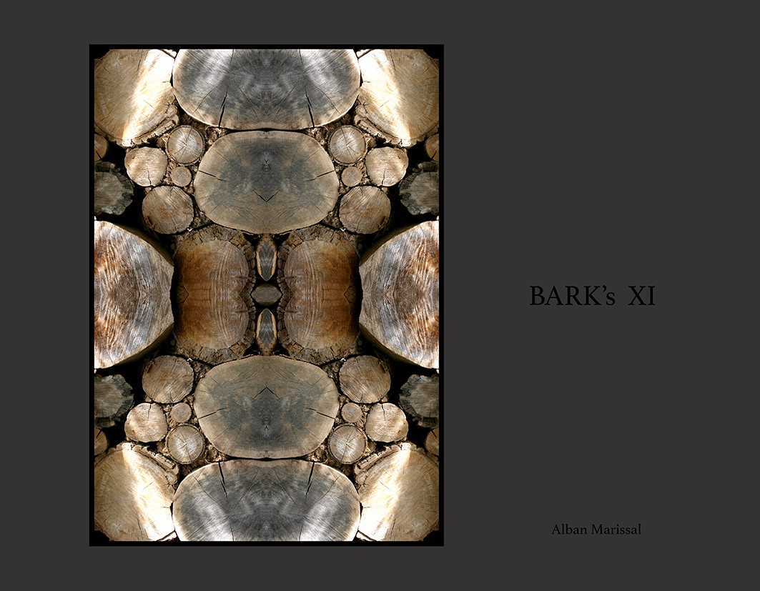 barks XI