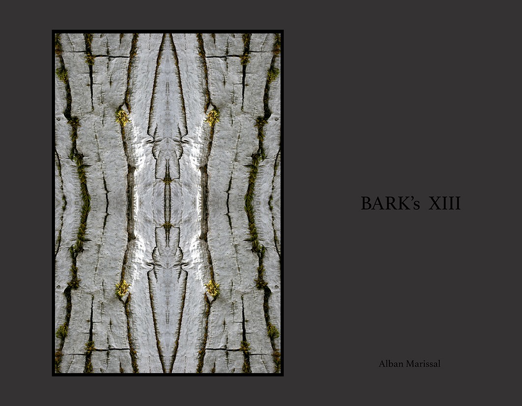 barks XIII