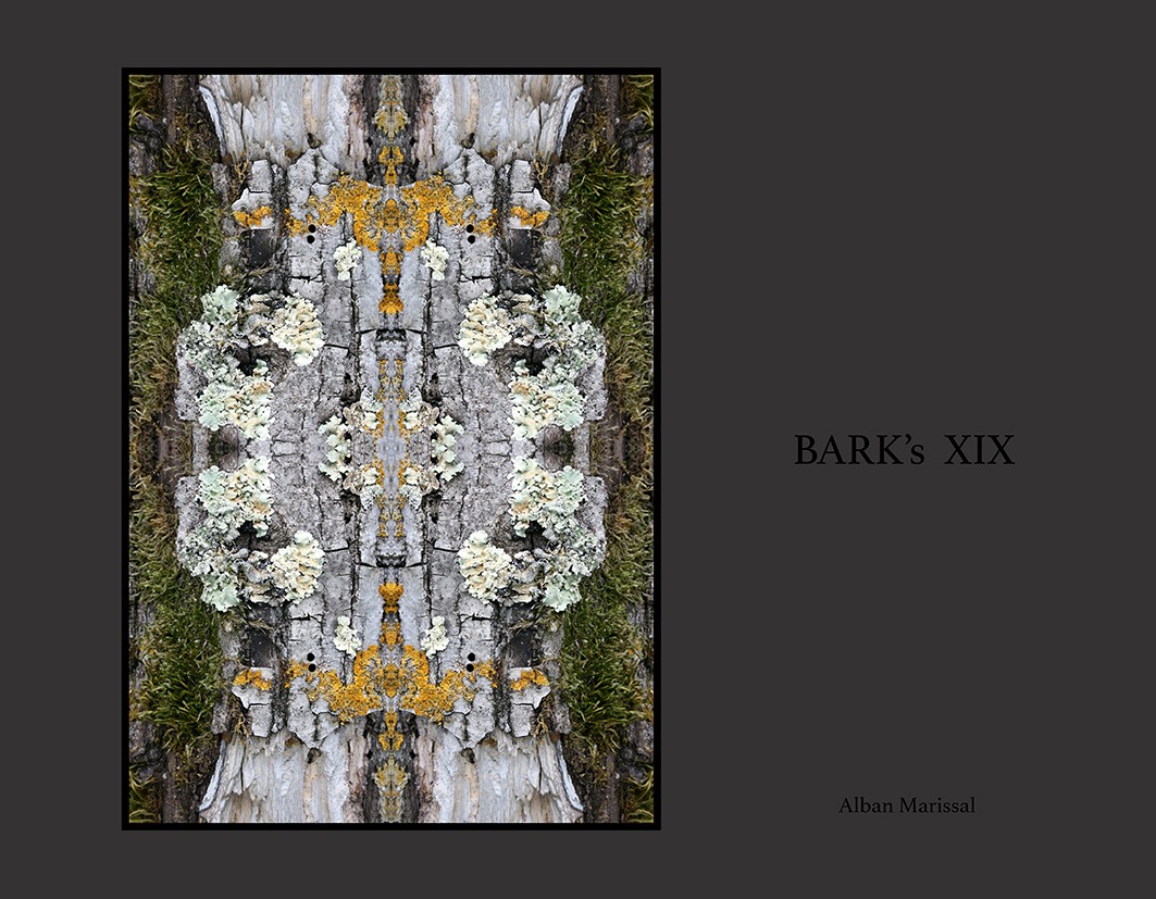 barks XIX