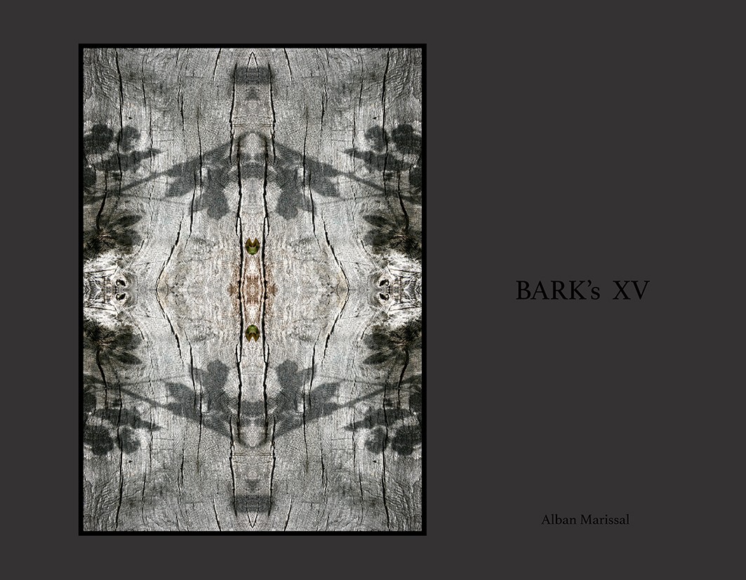 barks XV