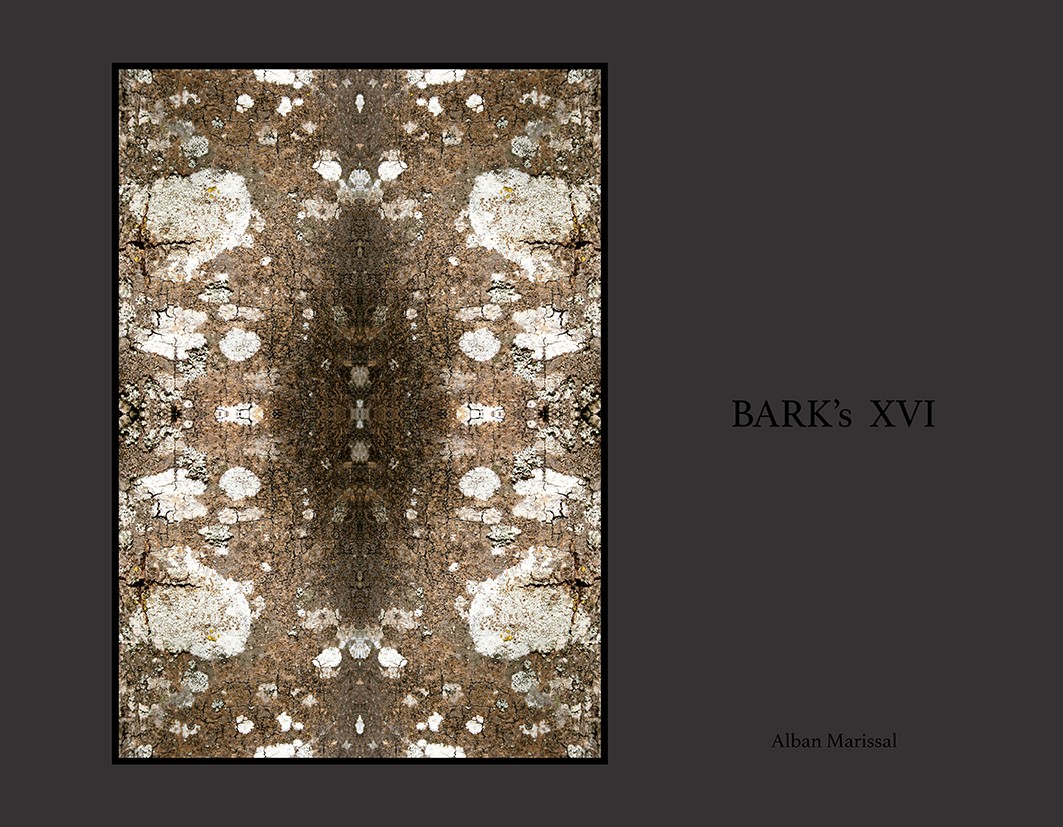 barks XVI