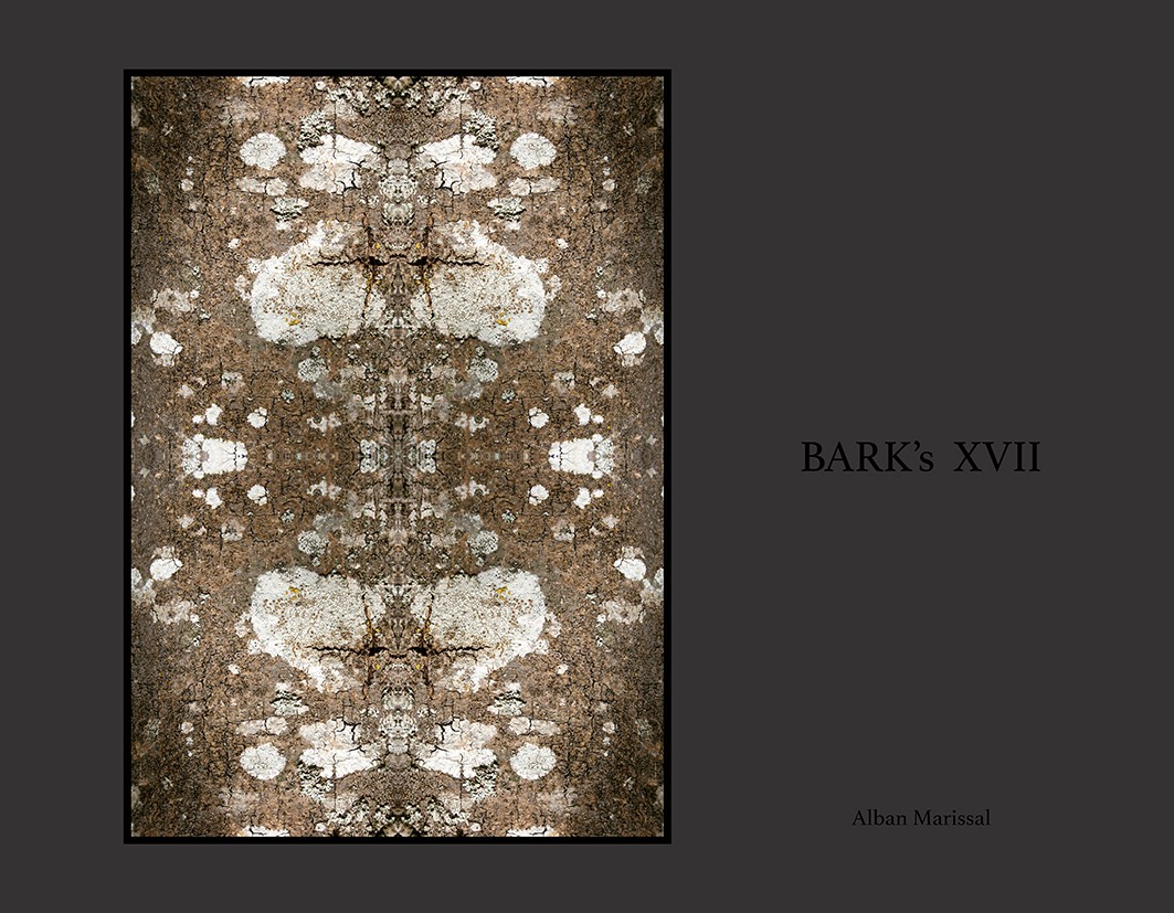 barks XVII