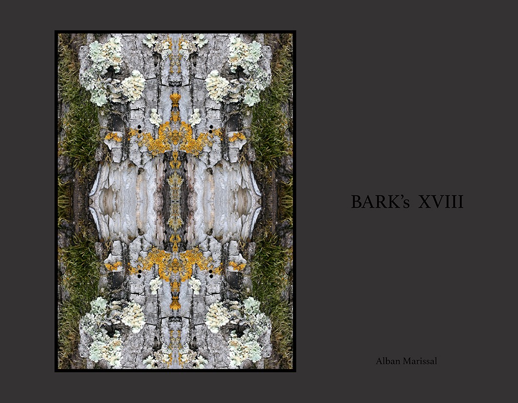 barks XVIII