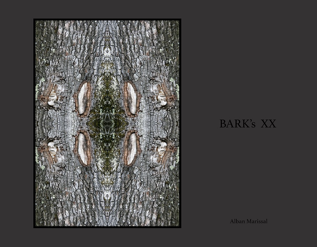 barks XX